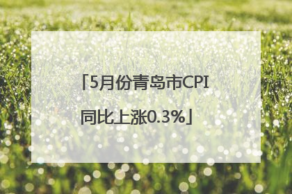 5月份青岛市CPI同比上涨0.3%