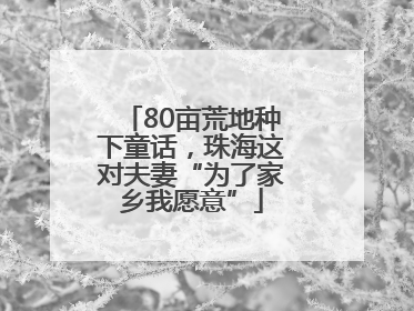 80亩荒地种下童话，珠海这对夫妻“为了家乡我愿意”
